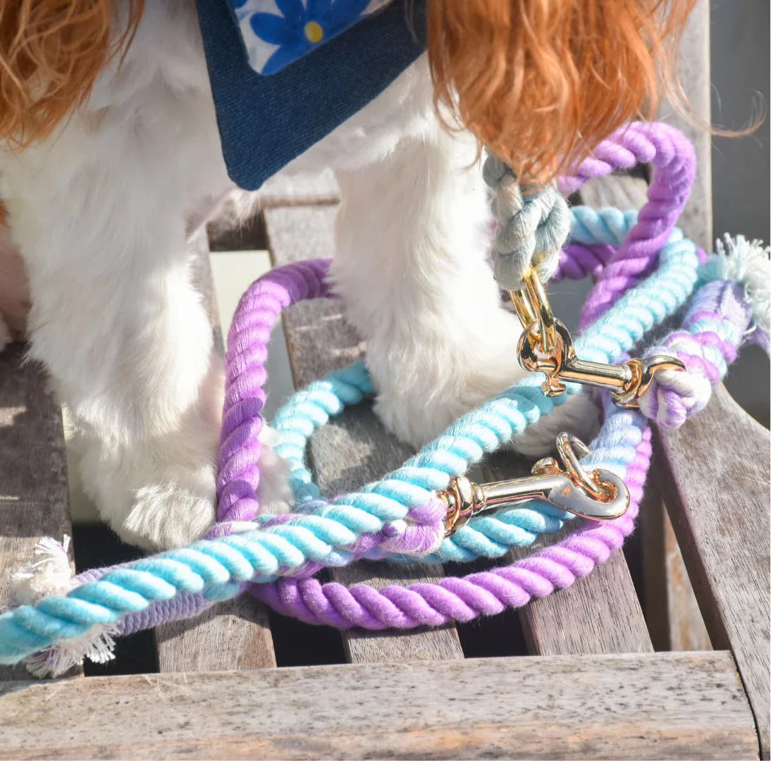 HANDS FREE ROPE LEASH - AURORA