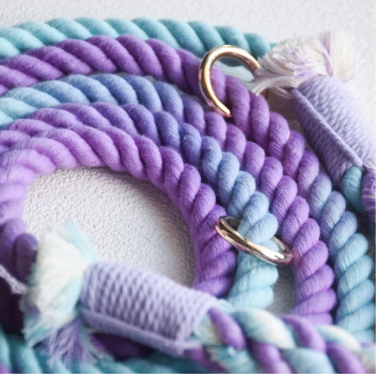HANDS FREE ROPE LEASH - AURORA